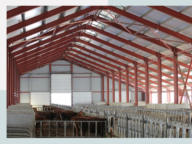 Строительство коровников в Пушкино