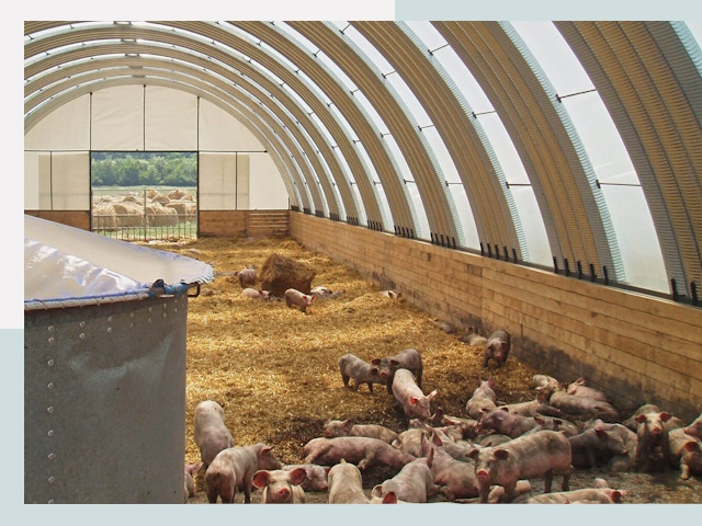 Строительство свинарников в Пушкино