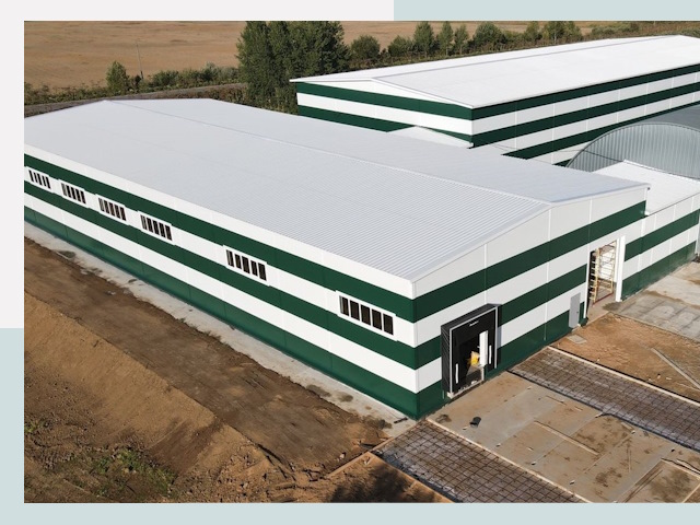 Строительство овощехранилищ в Пушкино