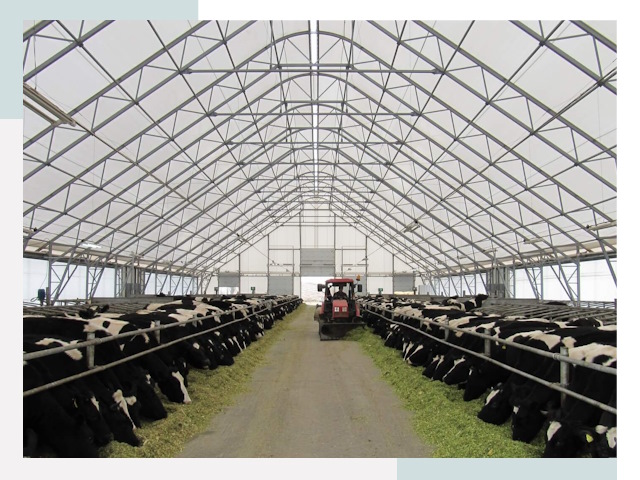 Тентовые коровники в Пушкино от 622 руб. - Надежно и доступно