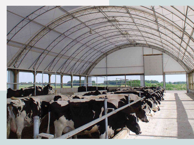 Тентовые коровники в Пушкино